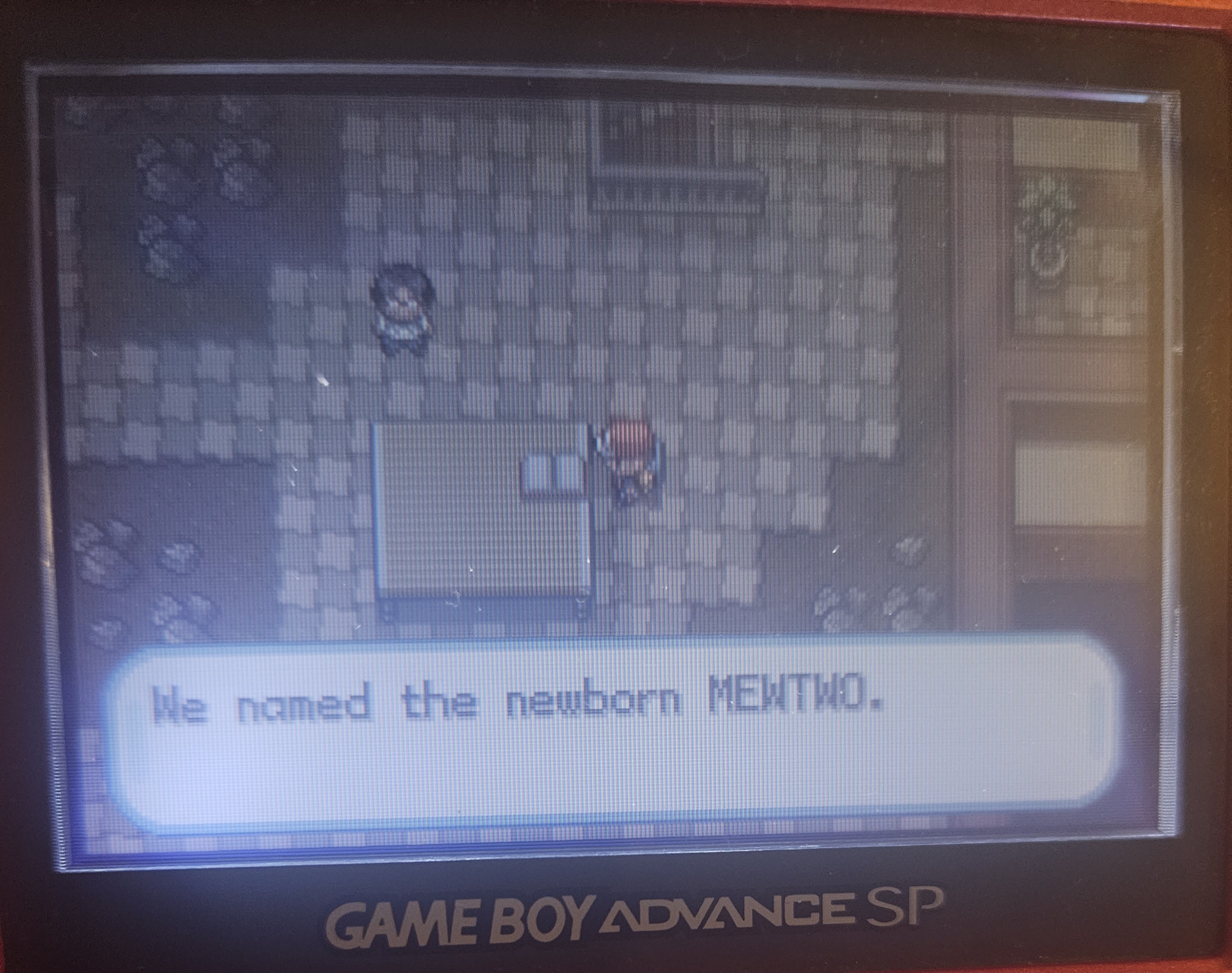 We named the newborn MEWTWO.